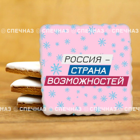 Печенье брендированное "Лидеры России"65мм 40