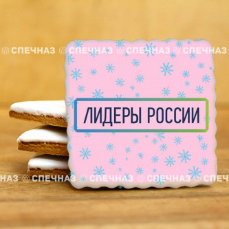 Печенье брендированное "Лидеры России"65мм 41