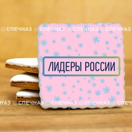 Печенье брендированное "Лидеры России"65мм 41
