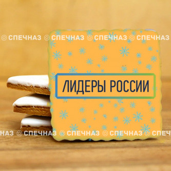 Печенье брендированное "Лидеры России"65мм 42