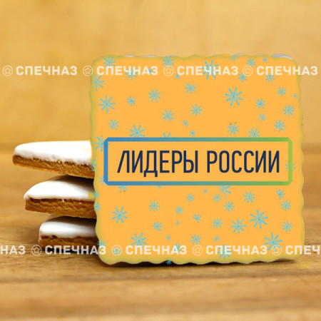 Печенье брендированное "Лидеры России"65мм 42