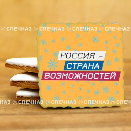 Печенье брендированное "Лидеры России"65мм 43