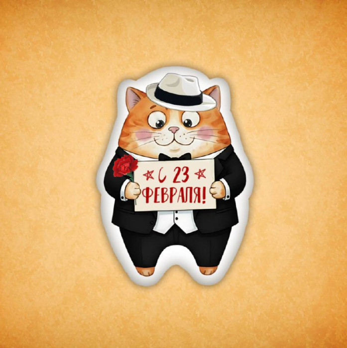 Набор печенья "Котик с 23 февраля" 5 