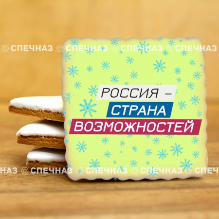 Печенье брендированное "Лидеры России"65мм 44