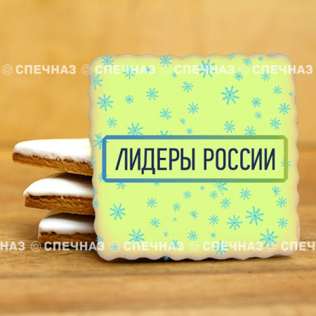 Печенье брендированное "Лидеры России"65мм 45