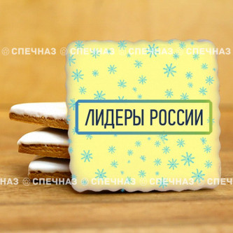 Печенье брендированное "Лидеры России"65мм 47