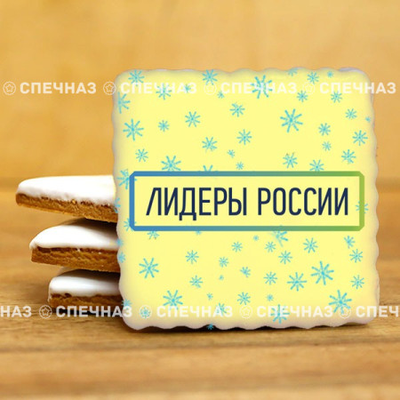 Печенье брендированное "Лидеры России"65мм 47