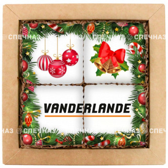 Набор печенья брендированный "Vanderlande" средний