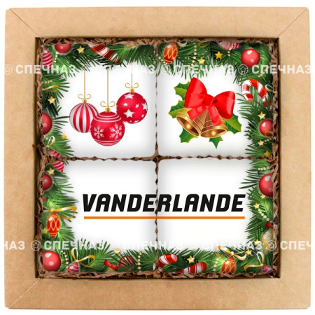 Набор печенья брендированный "Vanderlande" средний