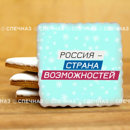 Печенье брендированное "Лидеры России"65мм 48