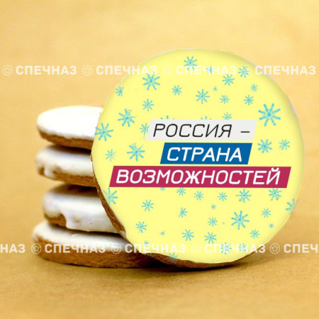 Печенье брендированное "Лидеры России"65мм 49
